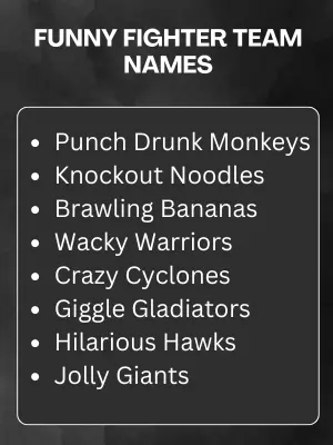 Funny Fighter Team Names