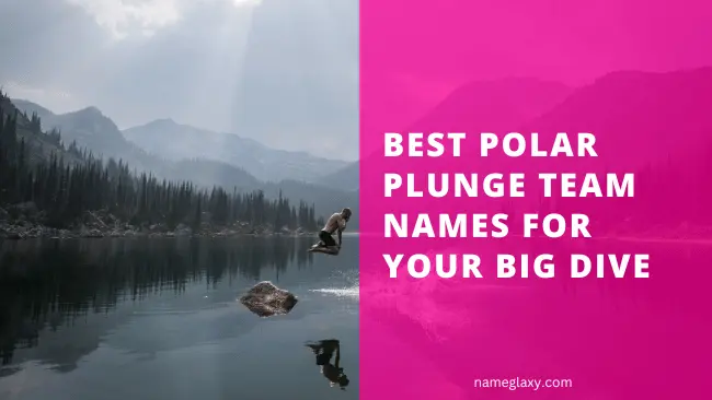 Polar Plunge Team Names