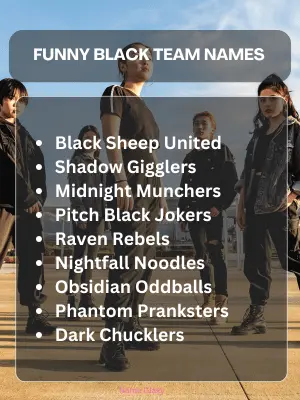 Funny Black Team Names