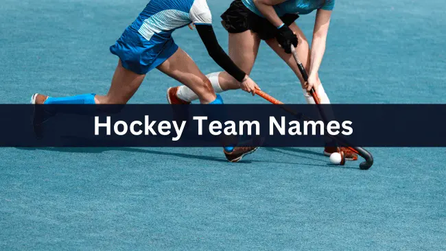 Hockey Team Names