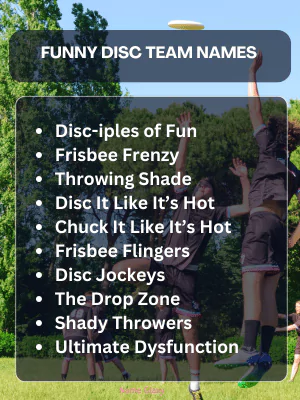 Funny Disc Team Names