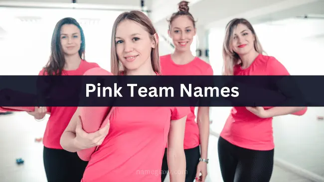 Pink Team Names