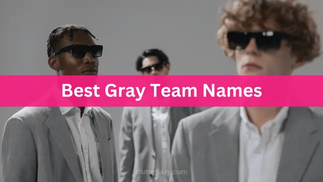 Best Gray Team Names