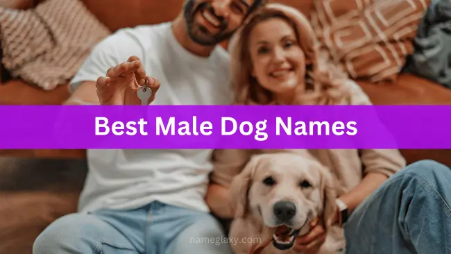 Best Male Dog Names