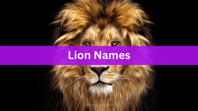 Lion Names