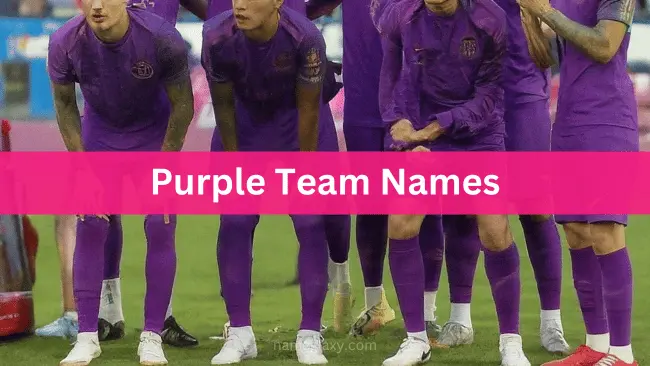 Purple Team Names