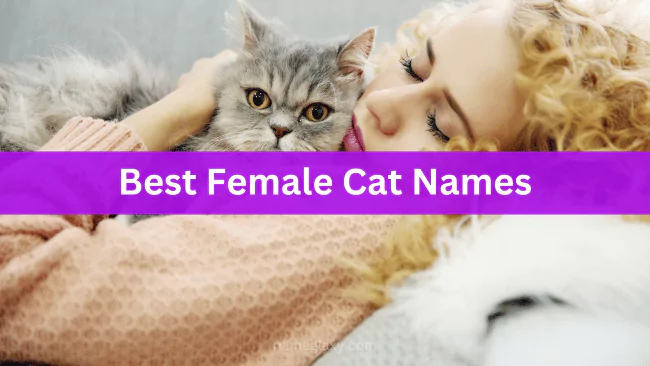 Best Female Cat Names